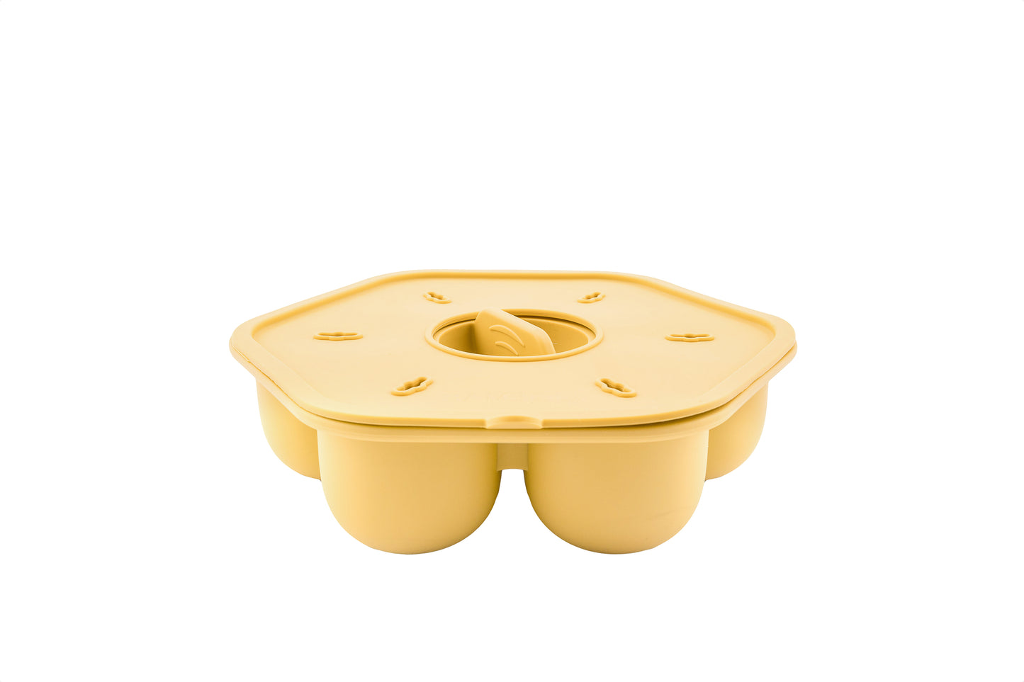Portioned Silicone Freezer Container