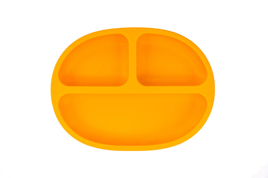 Segmented Silicone Plate with Lid