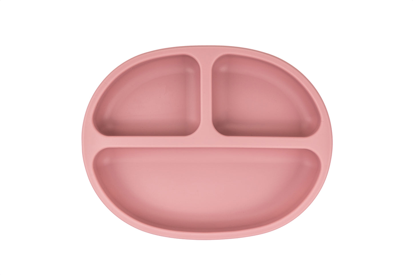 Segmented Silicone Plate with Lid